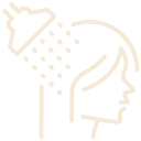 https://www.flaticon.com/